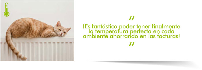 img temperatura es
